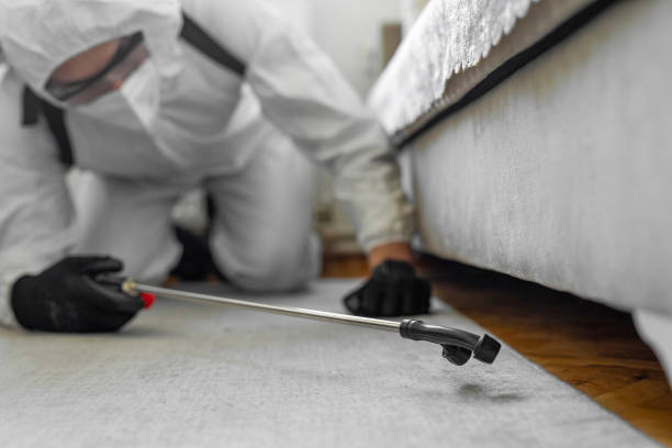 Professional Bed Bug Control technician working in Carrizo Hill, TX