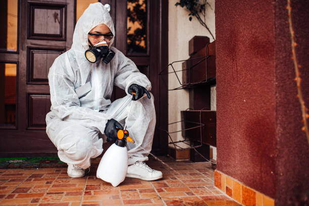 Reliable Bed Bug Control contractor in Carrizo Hill, TX by Nex Pest Control