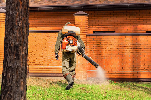 Trusted Fumigation Services service in Carrizo Hill, TX - Nex Pest Control